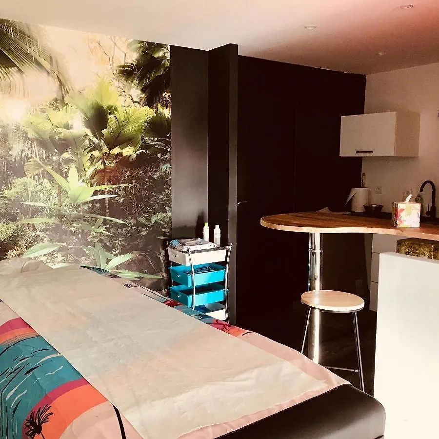 Gite L'Ancienne Forge - La Bouriote Villefranche-d'Albigeois Holiday home