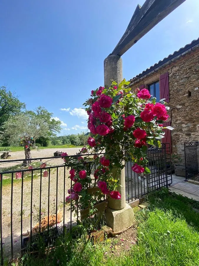Gite L'Ancienne Forge - La Bouriote Villefranche-d'Albigeois Holiday home